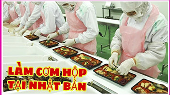don-hang-com-hop-nhat-ban