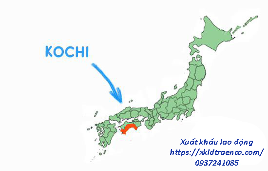 kochi-nhat-ban